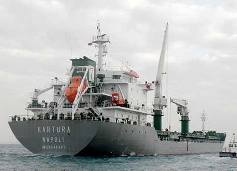 hartura_480x385