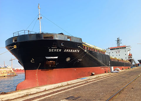 Seven-Amaranta-Tumb