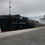 Amaranta-banchina-5.webp